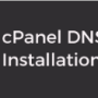 cpanel_dns_only.png
